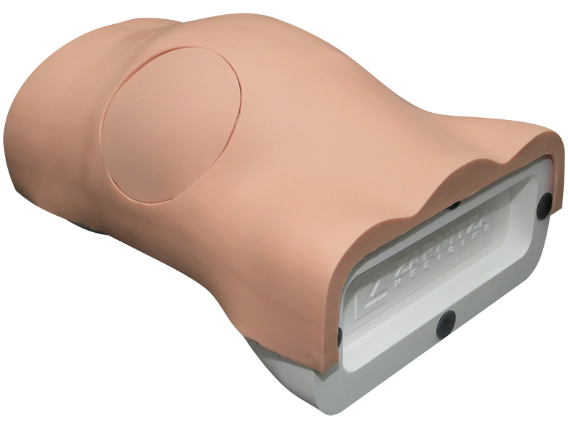 Симулятор для проведения лапароцентеза — купить в МЕДСЕТ