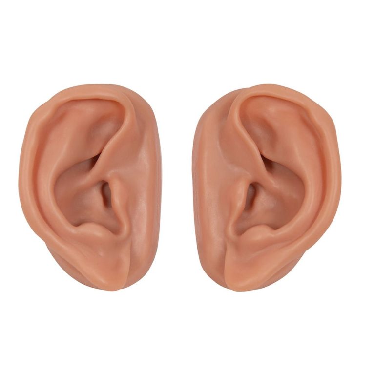 Модели ушей для акупунктуры — купить в МЕДСЕТ
