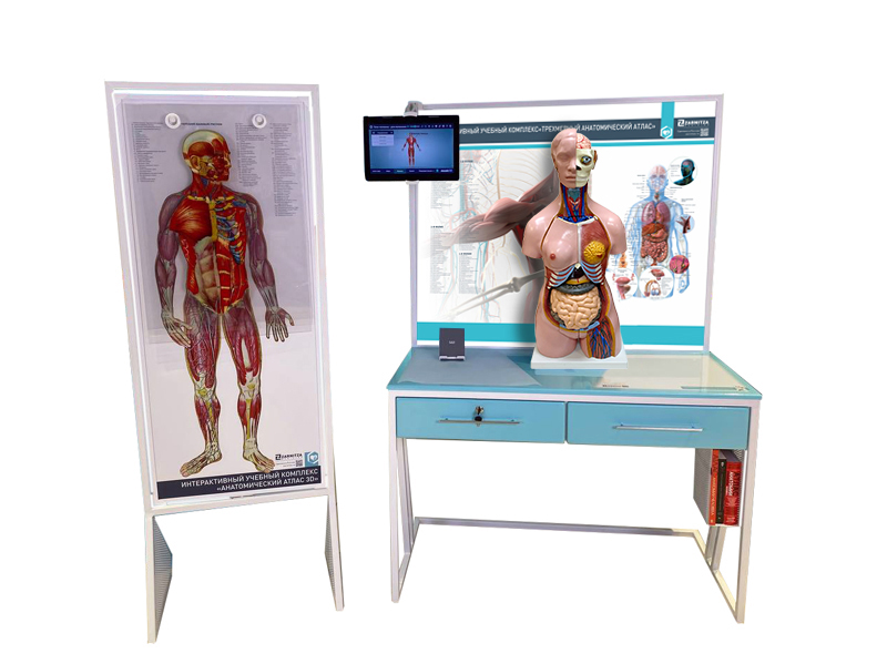 Трехмерный анатомический атлас. Приказ 838 Минпросвещения РФ — купить в МЕДСЕТ