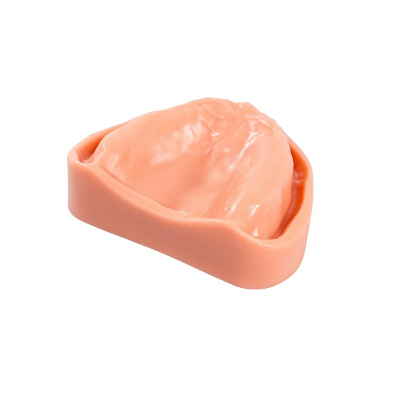 Стоматологическая модель верхней и нижней беззубой челюсти с десной — купить в МЕДСЕТ