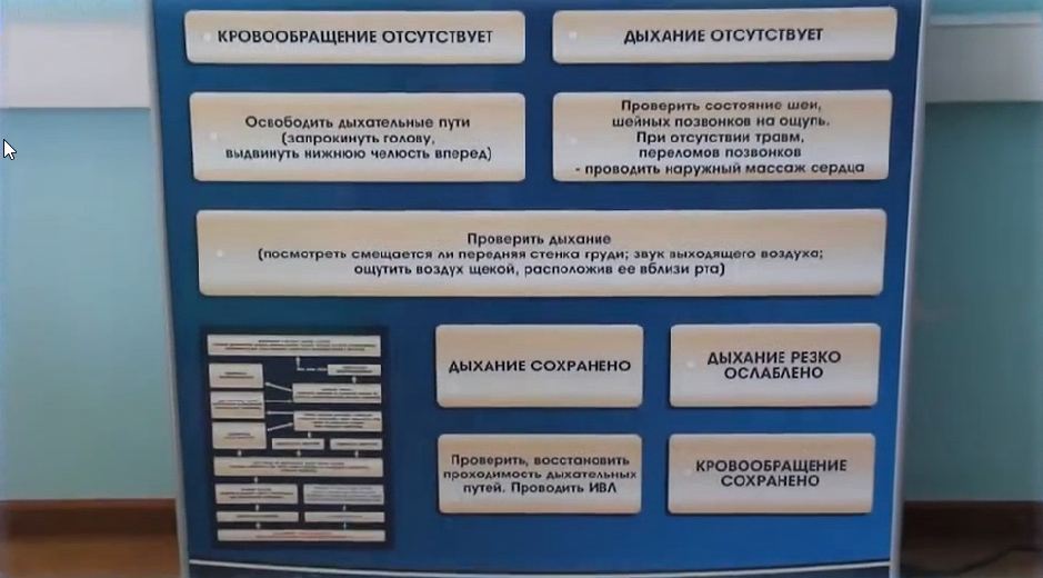 Электрифицированный стенд-тренажер "Этапы оказания первой реанимационной помощи" — купить в МЕДСЕТ