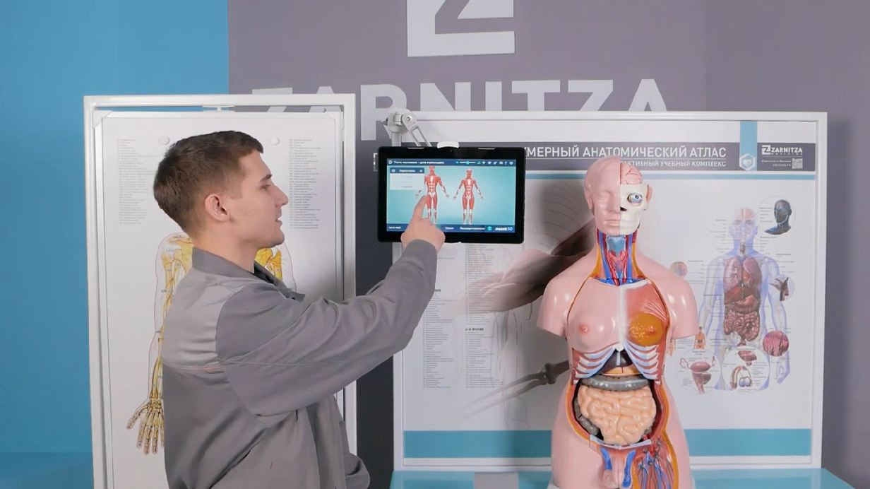 Трехмерный анатомический атлас. Приказ 838 Минпросвещения РФ — купить в МЕДСЕТ