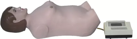 Манекен для брюшной пальпации и аускультации FB — купить в МЕДСЕТ