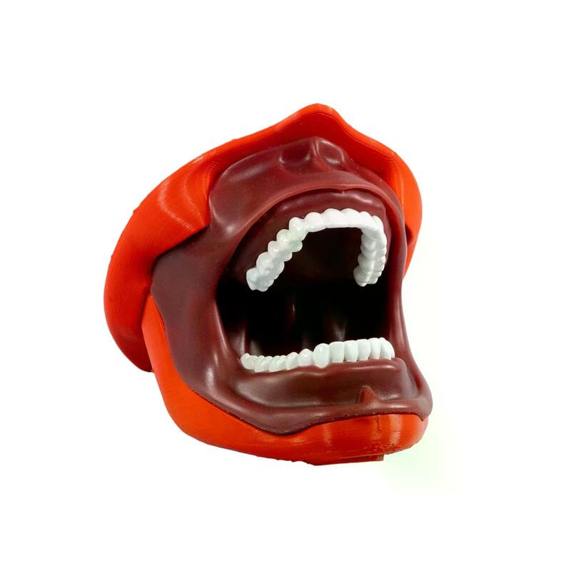 Учебная стоматологическая модель челюсти для анестезии — купить в МЕДСЕТ