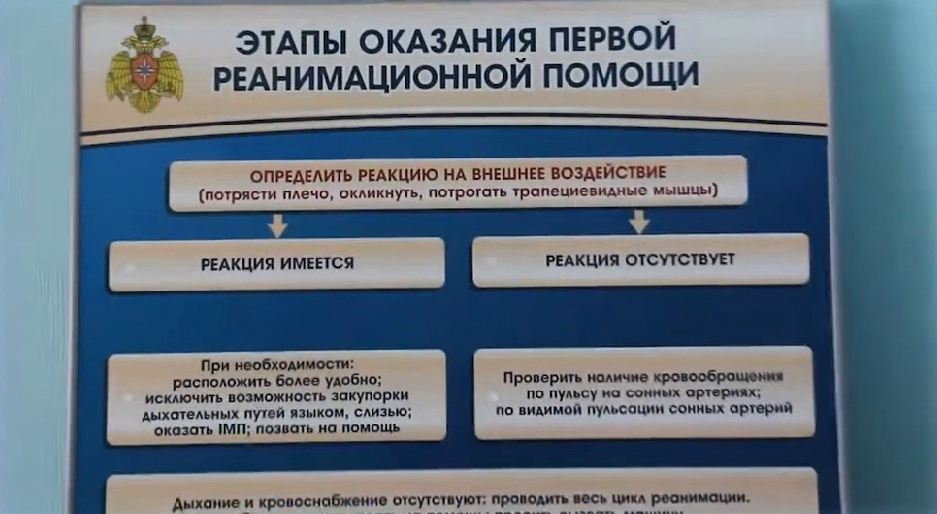 Электрифицированный стенд-тренажер "Этапы оказания первой реанимационной помощи" — купить в МЕДСЕТ