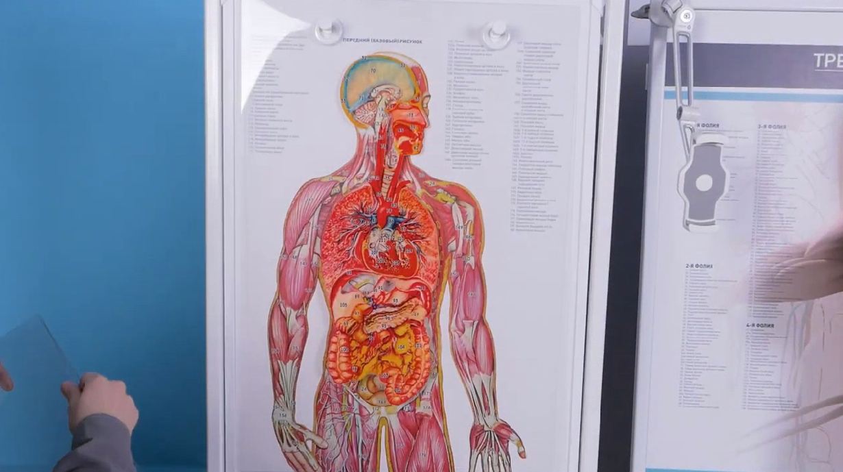 Трехмерный анатомический атлас. Приказ 838 Минпросвещения РФ — купить в МЕДСЕТ