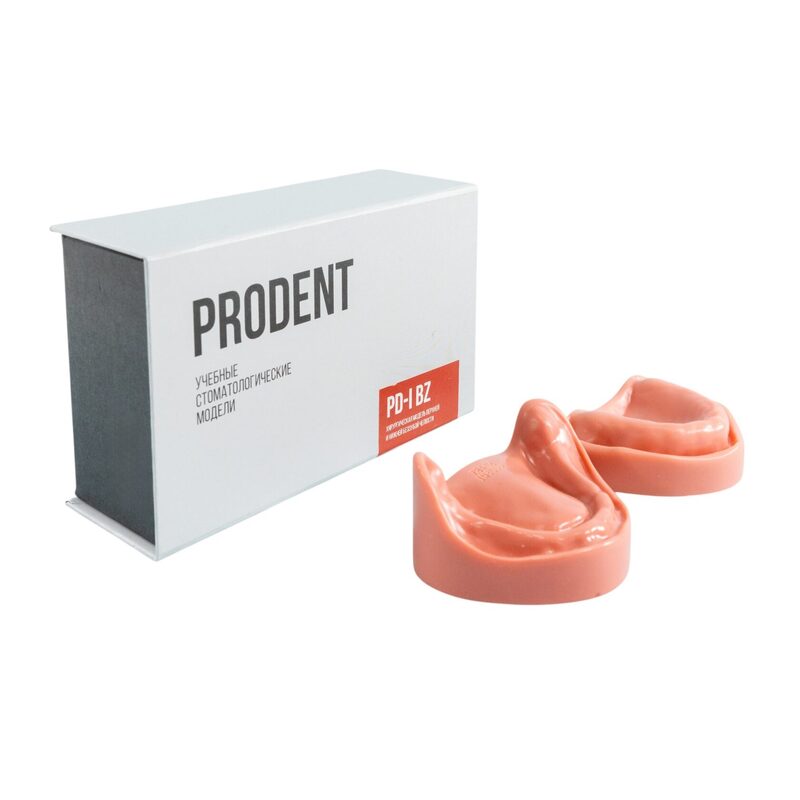 Стоматологическая модель верхней и нижней беззубой челюсти с десной — купить в МЕДСЕТ