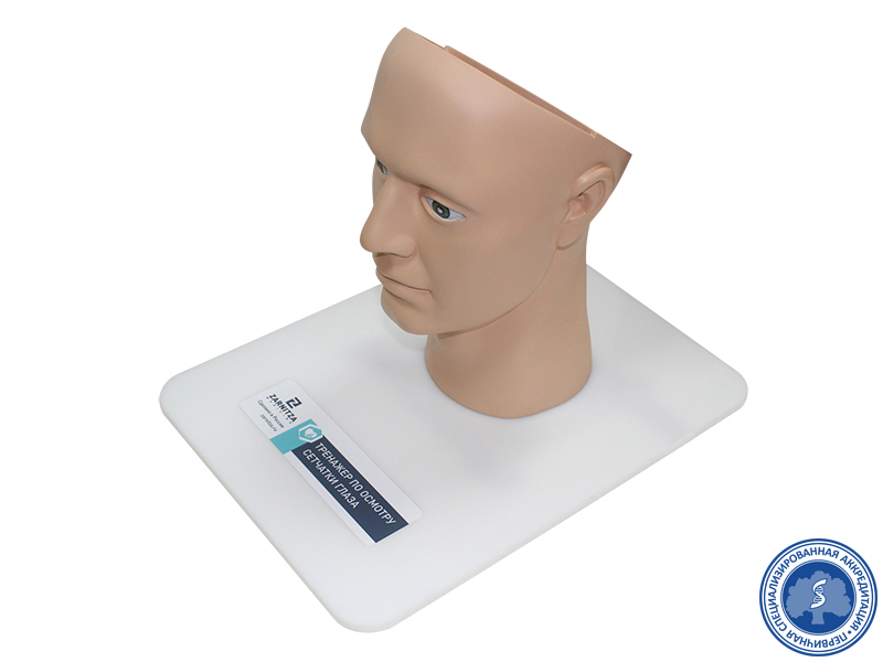 Тренажер по осмотру сетчатки глаза — купить в МЕДСЕТ