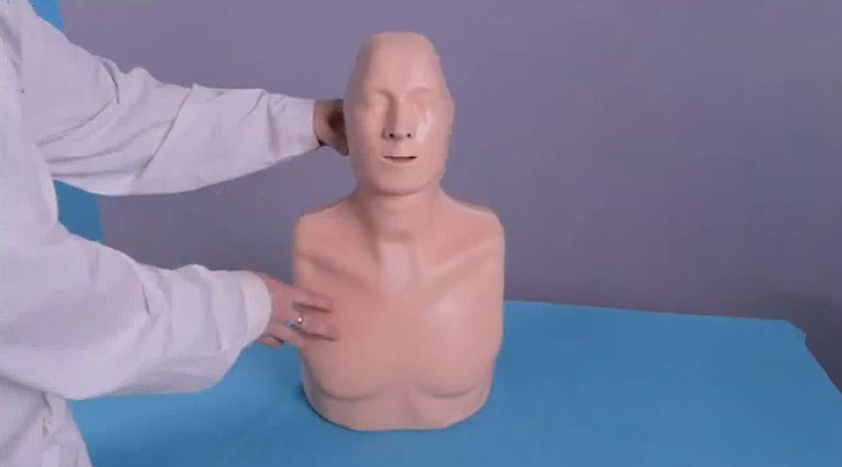 Тренажер-манекен пострадавшего для отработки приемов сердечно-легочной реанимации "ТОРС-01 СЛР" — купить в МЕДСЕТ