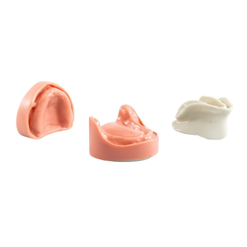 Стоматологическая модель верхней и нижней беззубой челюсти с десной — купить в МЕДСЕТ