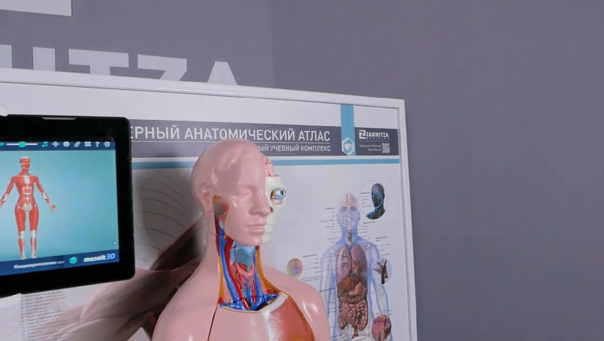 Трехмерный анатомический атлас. Приказ 838 Минпросвещения РФ — купить в МЕДСЕТ