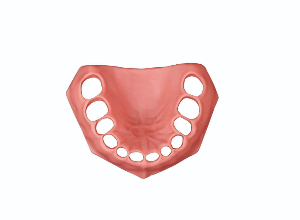 Сменные десны для учебной стоматологической модели PD-DM 24 — купить в МЕДСЕТ