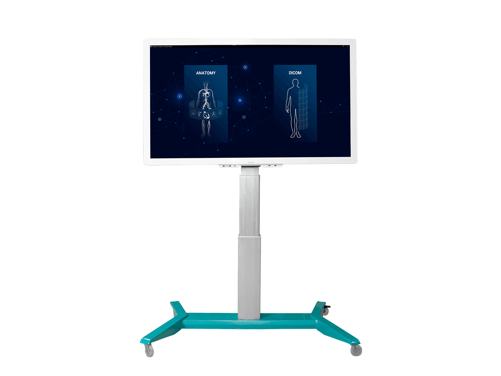 Трехмерный анатомический атлас VR. Виртуальный учебный комплекс. Приказ 838 Минпросвещения РФ — купить в МЕДСЕТ