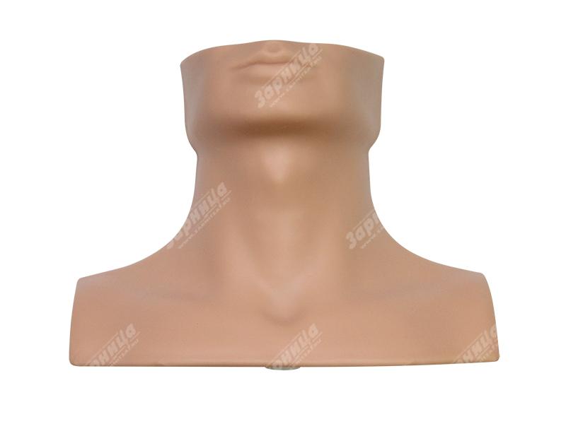 Тренажер коникотомии — купить в МЕДСЕТ