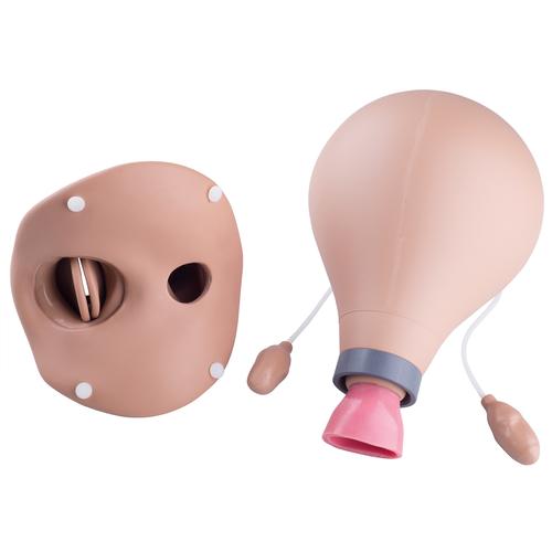 Матка послеродовая, доп. комплектация для W45043 — купить в МЕДСЕТ