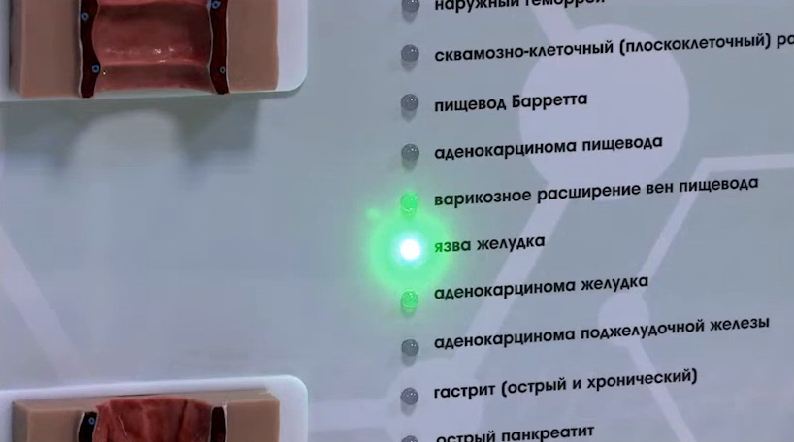 Интерактивный тренажерный комплекс для эндоскопии — купить в МЕДСЕТ