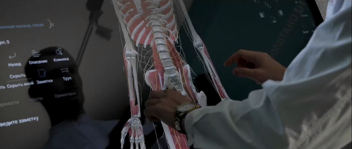 Трехмерный анатомический атлас. Виртуальный учебный комплекс. Приказ 804 Минпросвещения РФ. — купить в МЕДСЕТ