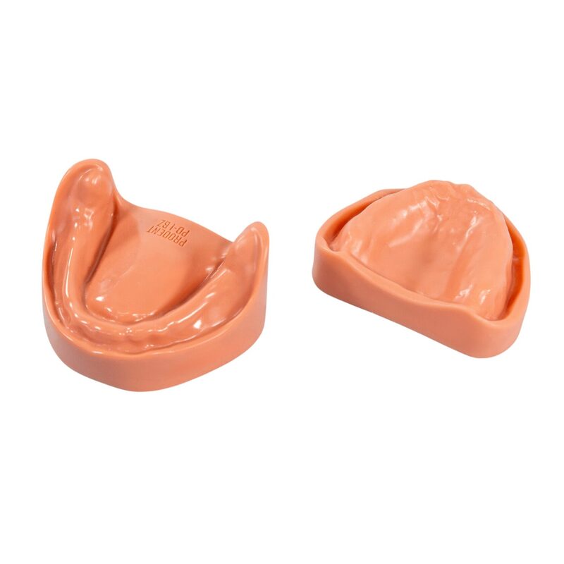 Стоматологическая модель верхней и нижней беззубой челюсти с десной — купить в МЕДСЕТ