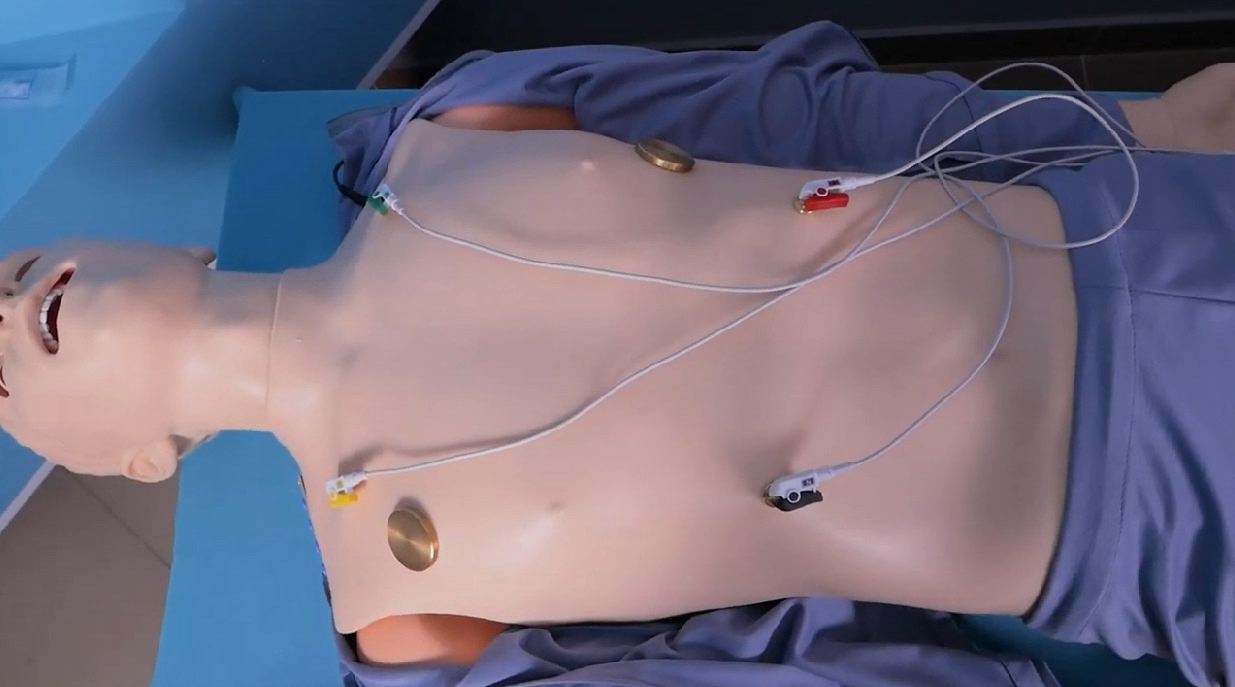 Многофункциональный робот-симулятор пациента с системой мониторинга основных жизненных показателей — купить в МЕДСЕТ