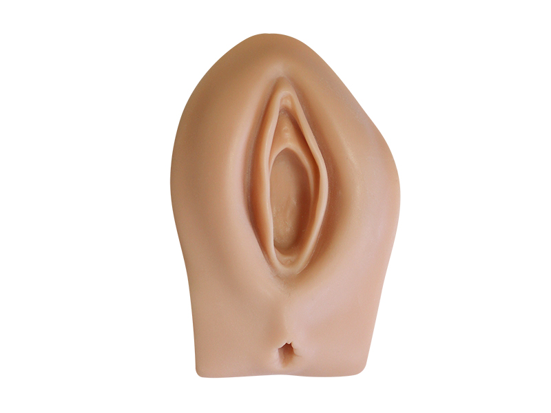 Сменная вставка к тренажеру для эпизиотомии (Артикул М0327) — купить в МЕДСЕТ