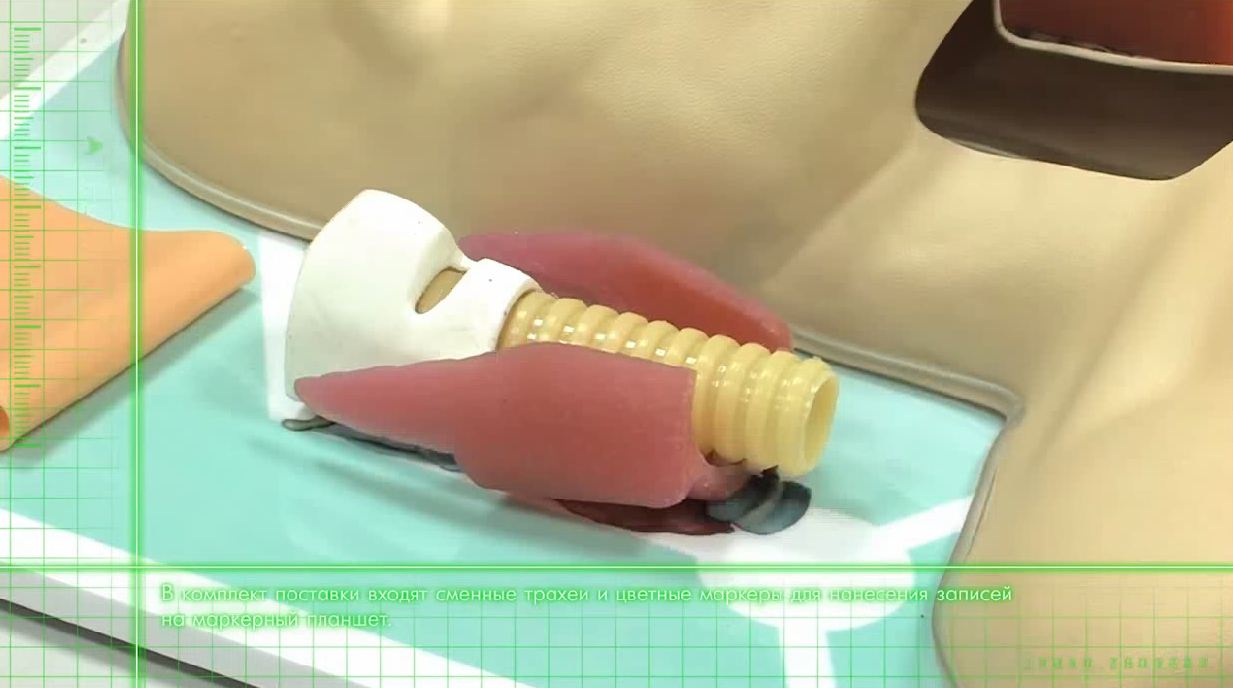 Тренажер трахеотомии — купить в МЕДСЕТ