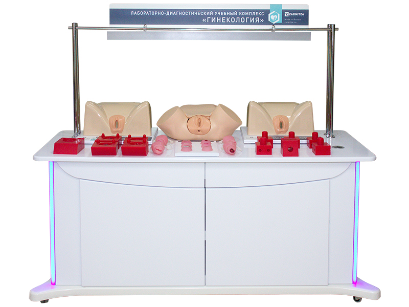 Лабораторно-диагностический учебный комплекс "Гинекология" — купить в МЕДСЕТ