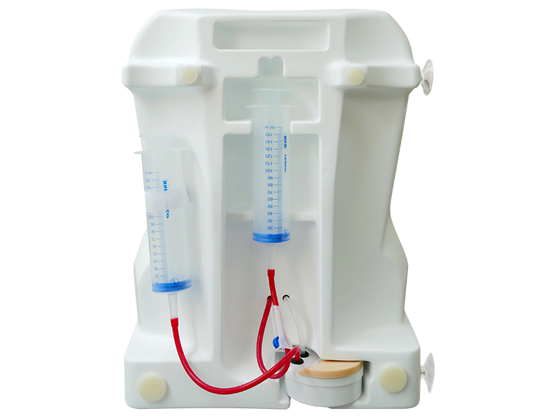 Тренажёр для отработки навыков спинальных инъекций — купить в МЕДСЕТ