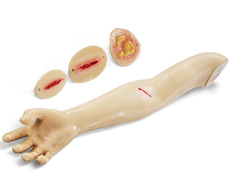 Фантом руки для наложения и снятия швов, обработки ожогов и ран — купить в МЕДСЕТ