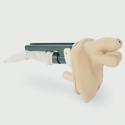 Гениталии мужские — купить в МЕДСЕТ