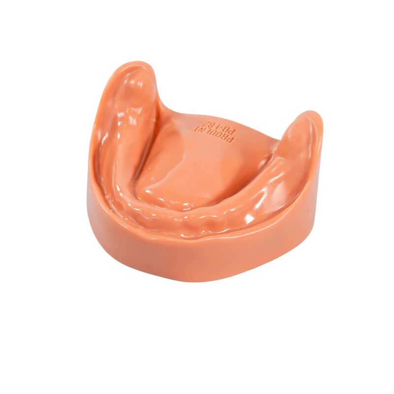 Стоматологическая модель верхней и нижней беззубой челюсти с десной — купить в МЕДСЕТ