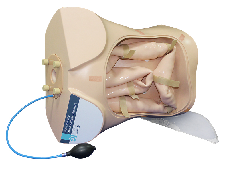 Тренажер колоноскопии, полипэктомии — купить в МЕДСЕТ