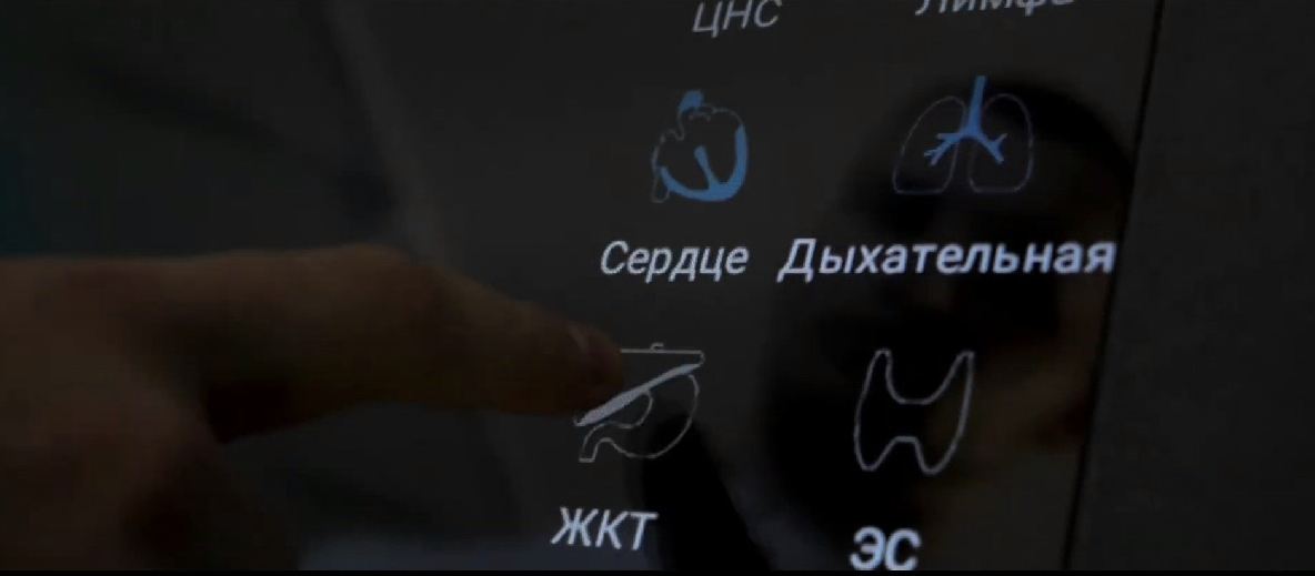 Трехмерный анатомический атлас. Виртуальный учебный комплекс. Приказ 804 Минпросвещения РФ. — купить в МЕДСЕТ