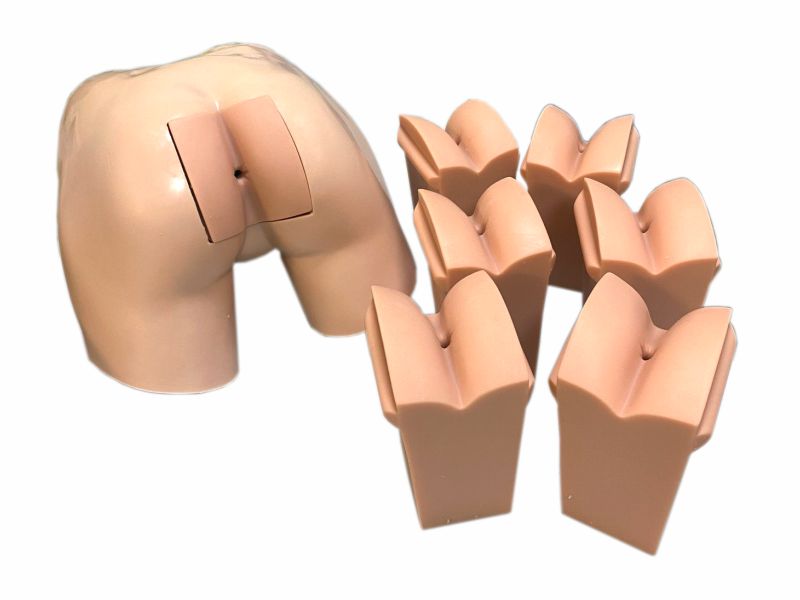 Тренажер для освоения навыков ректального обследования прямой кишки — купить в МЕДСЕТ