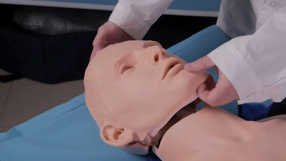 Робот-тренажер манекен "Антон-1" — купить в МЕДСЕТ