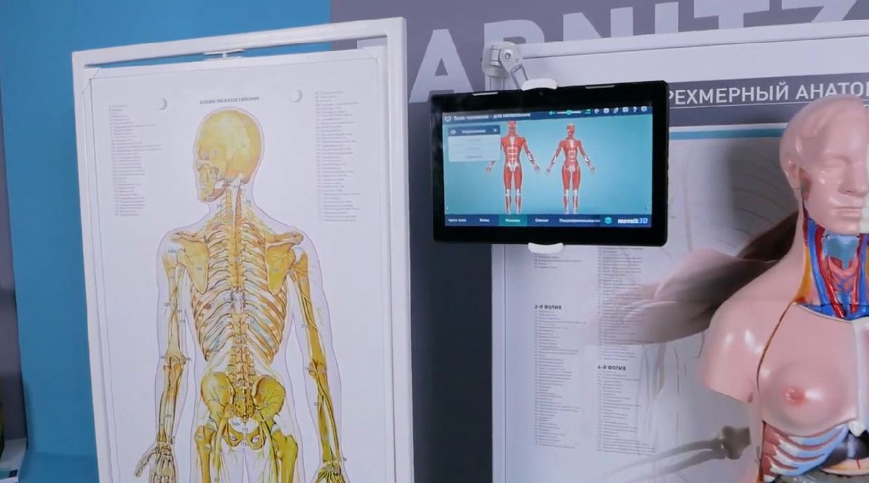 Трехмерный анатомический атлас. Приказ 838 Минпросвещения РФ — купить в МЕДСЕТ