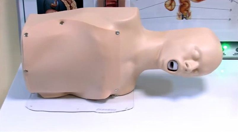 Интерактивный тренажерный комплекс для эндоскопии — купить в МЕДСЕТ