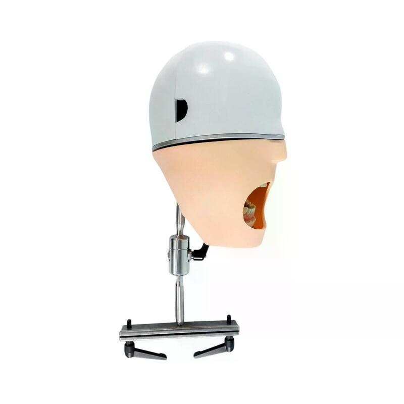 Учебный стоматологический фантом c креплением к подголовнику стоматологического кресла — купить в МЕДСЕТ