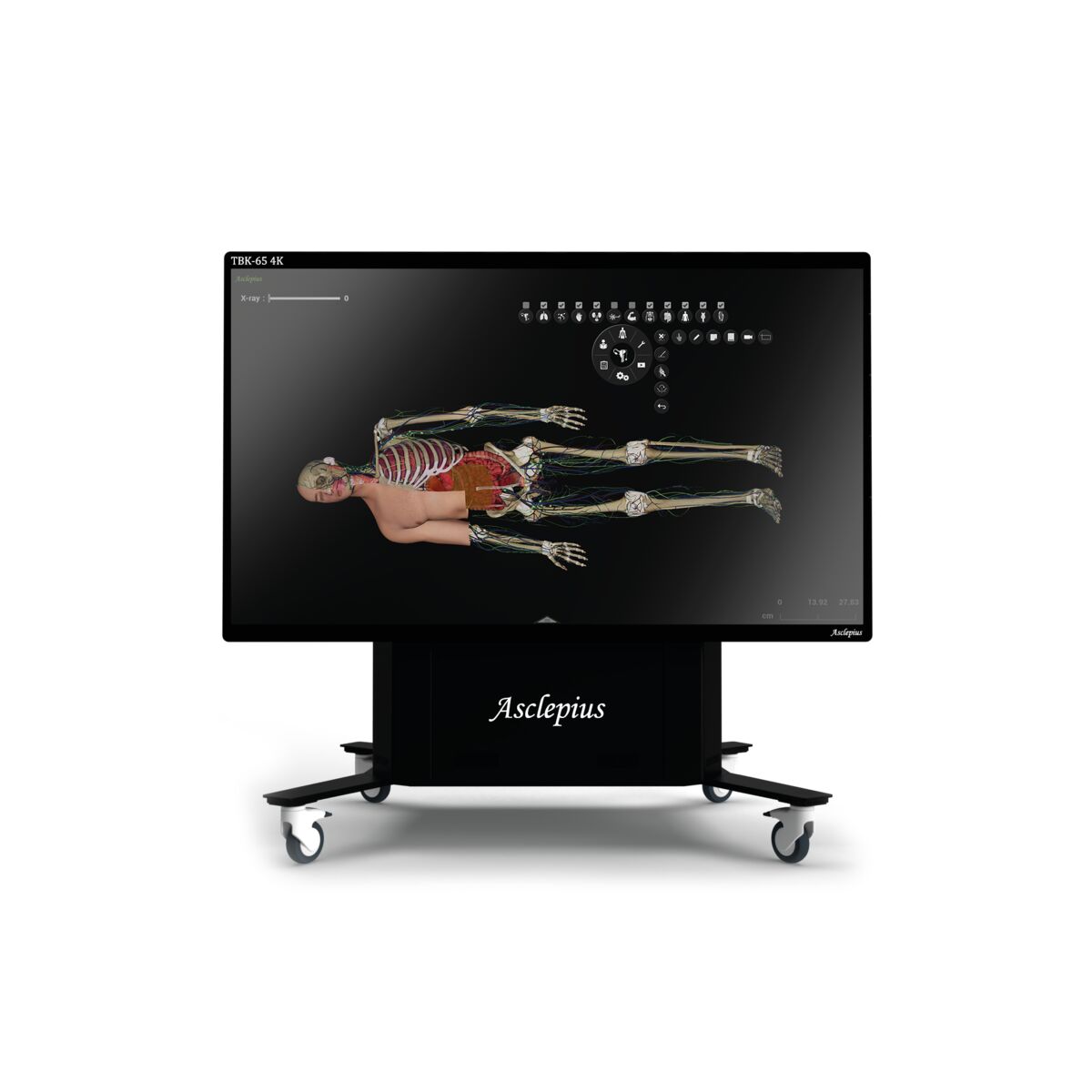 Стол стандартный TBK 65 4K, гарантия 2 года — купить в МЕДСЕТ