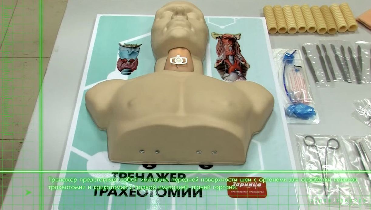 Тренажер трахеотомии — купить в МЕДСЕТ