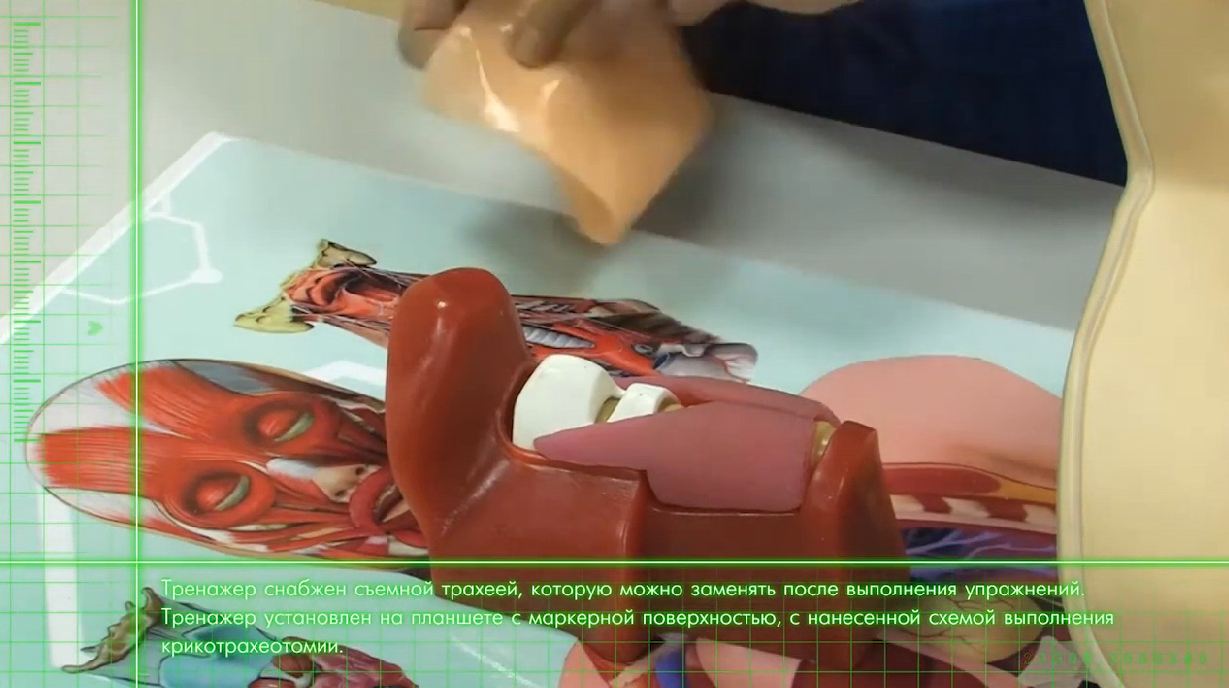 Тренажер трахеотомии — купить в МЕДСЕТ