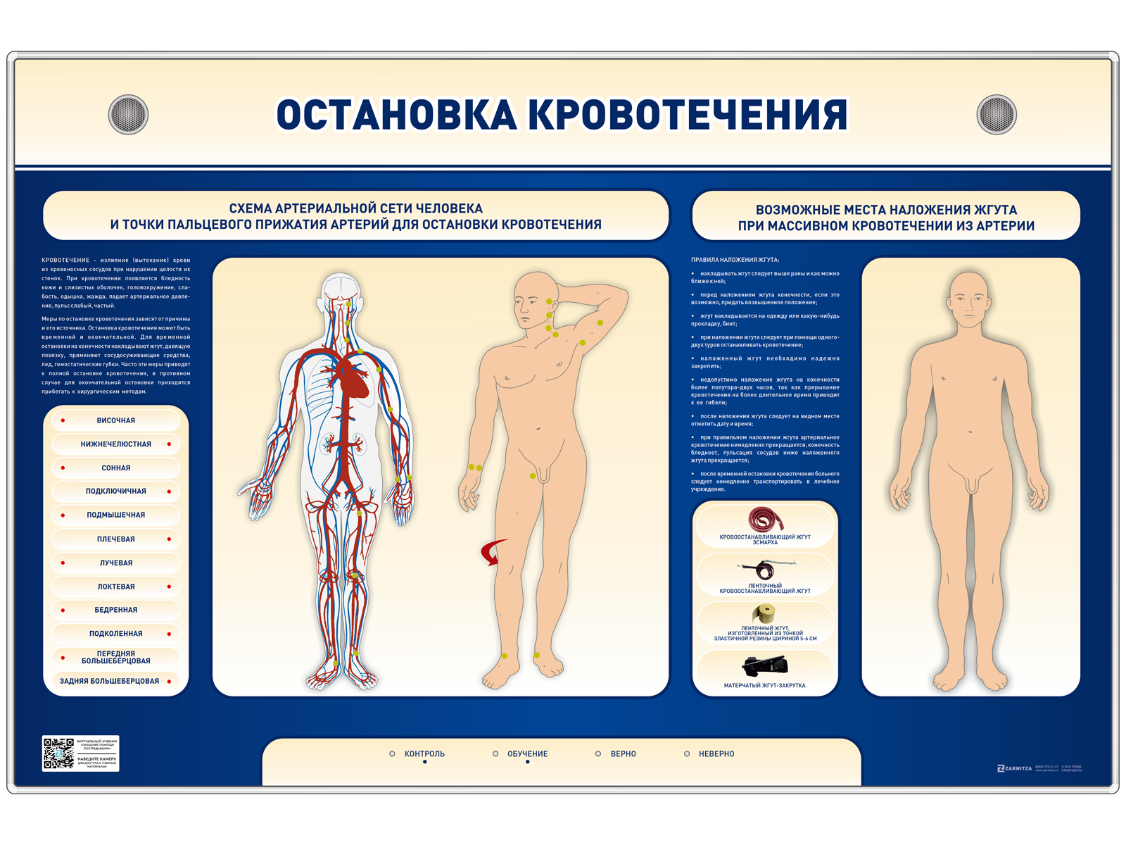 Электрифицированный стенд-тренажер "Остановка кровотечения" — купить в МЕДСЕТ