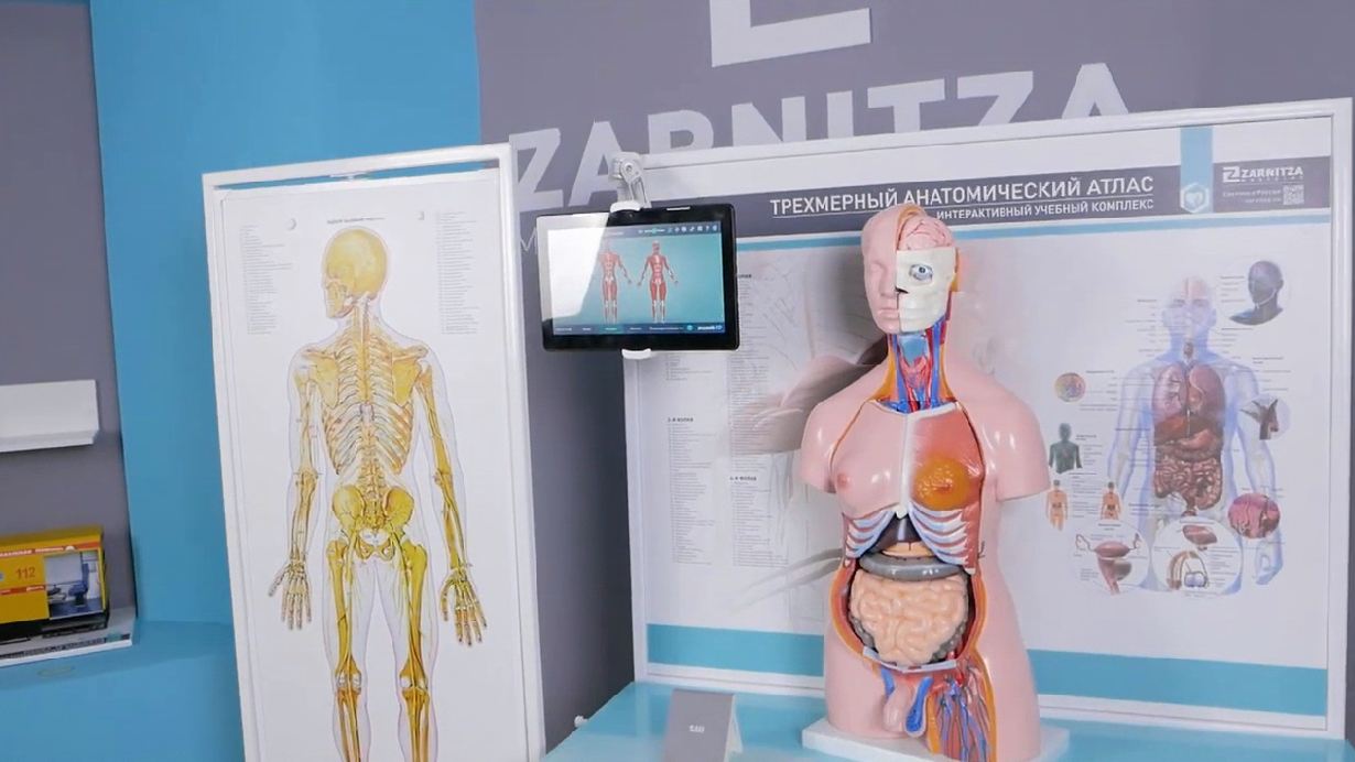 Трехмерный анатомический атлас. Приказ 838 Минпросвещения РФ — купить в МЕДСЕТ