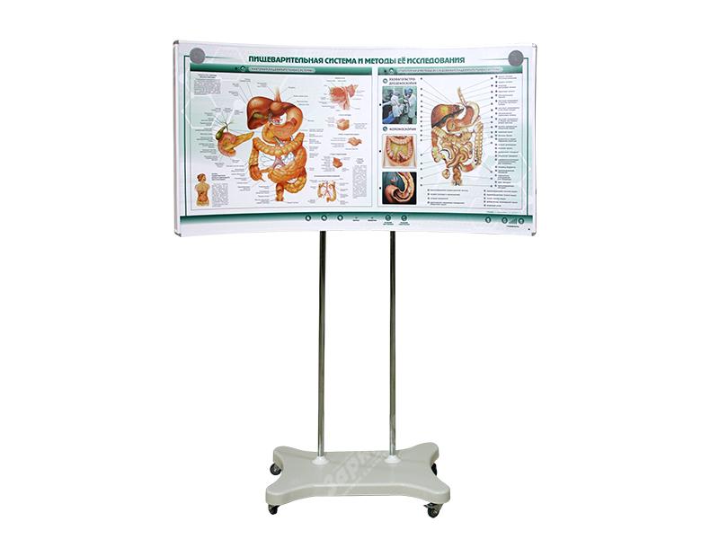 Лабораторно-диагностический учебный комплекс "Желудочно-кишечный тракт" — купить в МЕДСЕТ