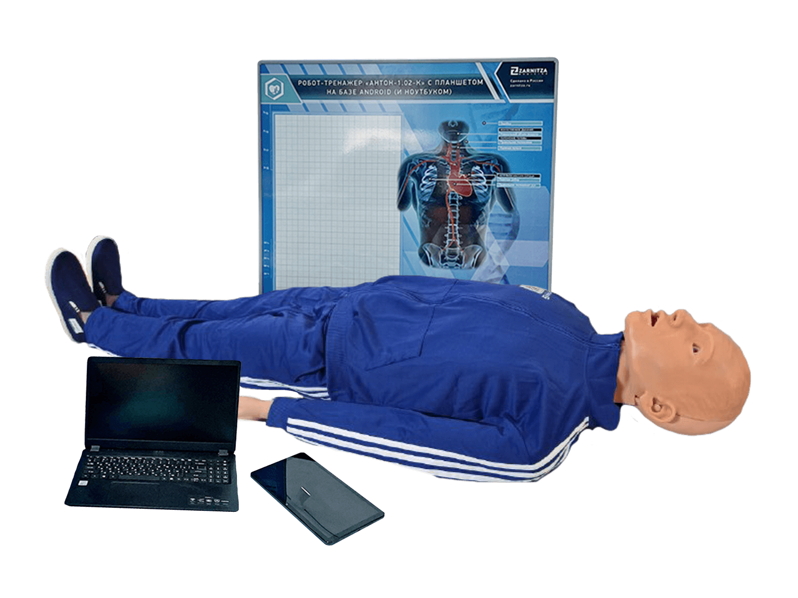 Робот-тренажер манекен "Антон-2" — купить в МЕДСЕТ