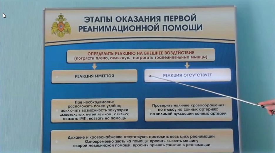 Электрифицированный стенд-тренажер "Этапы оказания первой реанимационной помощи" — купить в МЕДСЕТ