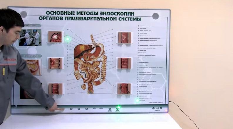 Интерактивный тренажерный комплекс для эндоскопии — купить в МЕДСЕТ