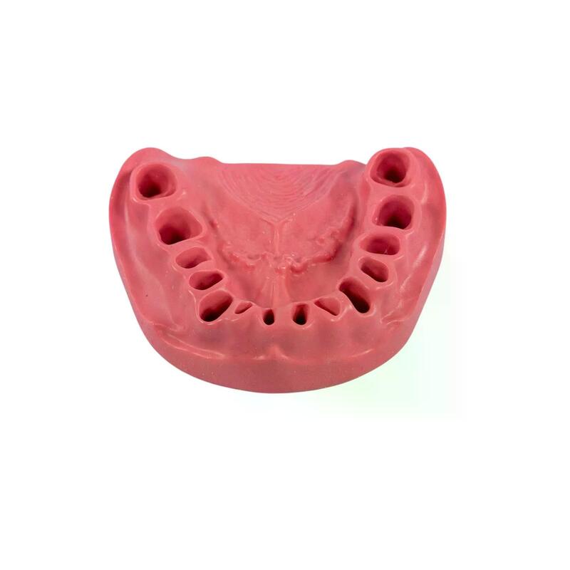 Сменные десны для стоматологической модели PD-M ORT — купить в МЕДСЕТ