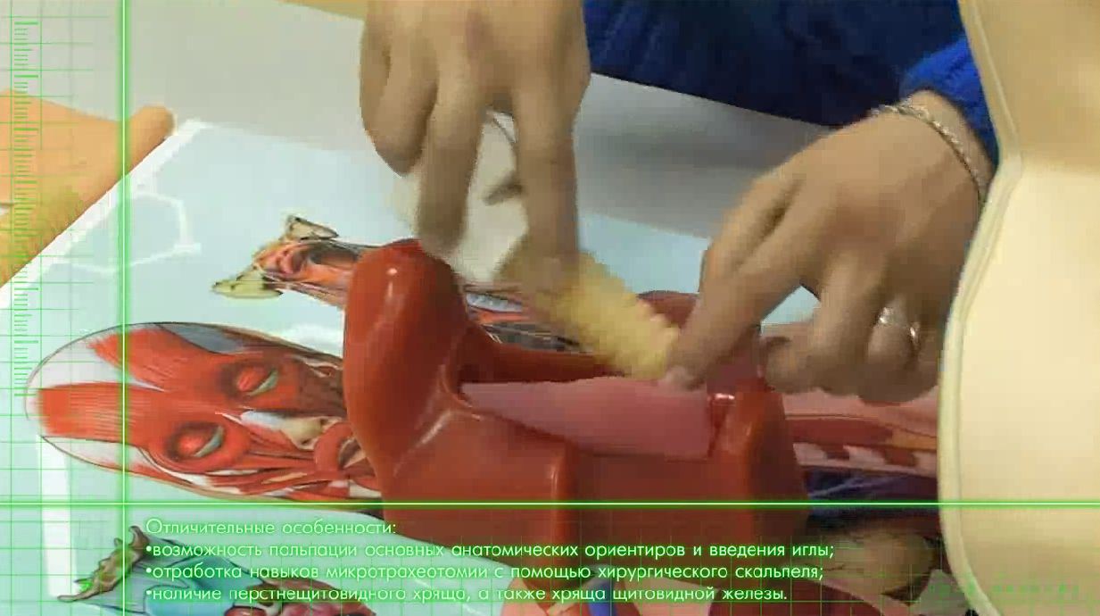 Тренажер трахеотомии — купить в МЕДСЕТ