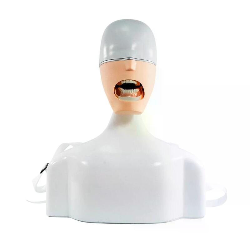 Учебный стоматологический фантом на торсе с универсальным артикулятором — купить в МЕДСЕТ