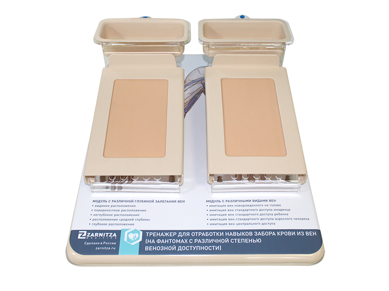 Тренажер для отработки навыков забора крови из вен (на фантомах с различной степенью венозной доступности) — купить в МЕДСЕТ